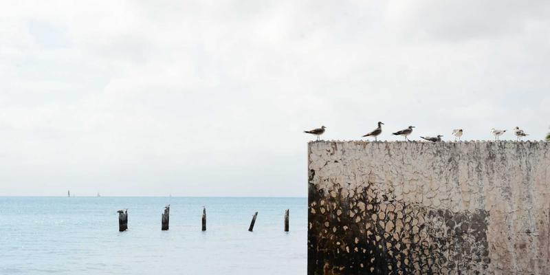 Single Item Delivery vs. Renting a Truck: Which is Better?